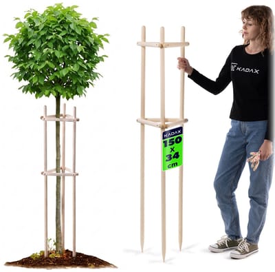 KADAX boomsteun 150 cm van stevig hout, boomsteun voor het stevig vastzetten van jonge bomen en struiken, driepotige plantensteun van beukenhout voor in de tuin (naturel)