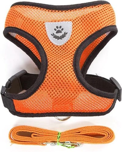 Hondenharnas-kattenharnas-Hondentuig- hondentuigjes kleine hond-Kattenharnas-kattentuigje -kattentuigje met looplijn-maat -Oranje L