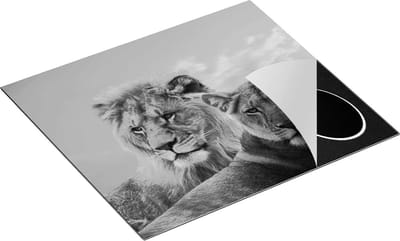 Chefcare Inductie Beschermer Leeuw en Leeuwin - Zwart Wit - 60x50 cm - Afdekplaat Inductie - Kookplaat Beschermer - Inductie Mat