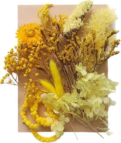 Gedroogde bloemen bladeren geperst - gedroogde bloemen gemengd - meerdere natuurlijke decoratieve kunstmatige bloemen - gedroogde bloemen voor ambachten - hars - cakes - DIY - sieraden - nail art - plakboeken - geel