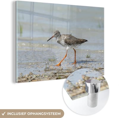 ® Glasschilderij 180x120 cm - Schilderij acrylglas - VVV-kantoor in het Nationaal Park Neusiedler See-Sea Shop in Oostenrijk - Foto op glas - Muurdecoratie woonkamer - Wanddecoratie slaapkamer - Schilderijen