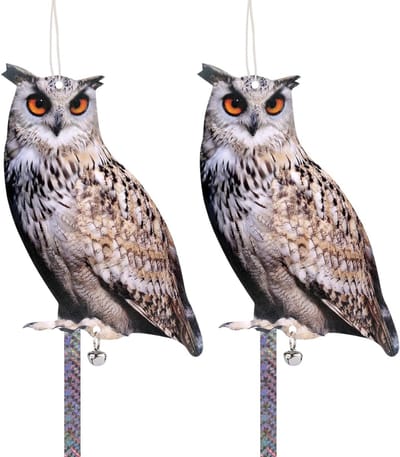 Horror Uil Afschrikmiddel voor Vogels - Effectieve Scarecrow voor Duiven, Raven en Sperwers - Reflecterende Band voor Balkon en Tuin, Set van 2