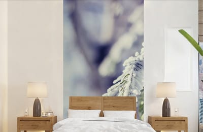Behang - Fotobehang Winter - Dennenboom - Sneeuw - Landelijk - Breedte 120 cm x hoogte 240 cm