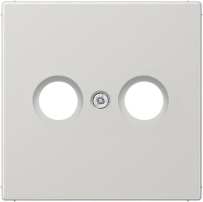 Jung LS990 Insteekplaat Schakelmateriaal - LS990TVLG - E2B3B