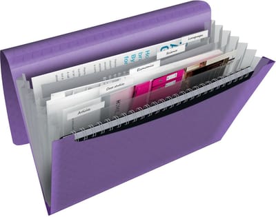 Esselte  Colour'Breeze A4 Uitzetbare Projectmap - Organiser met 5 Tabbladen/6 Vakken - Lavendel