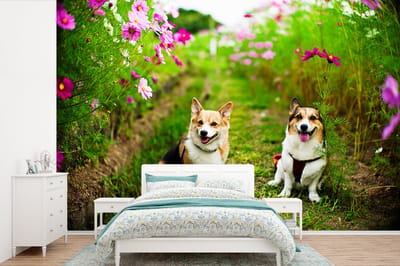 Behang - Fotobehang Corgi's tussen de bloemen - Breedte 420 cm x hoogte 280 cm