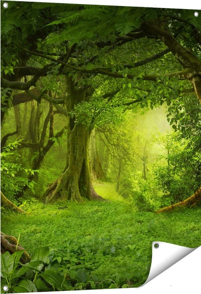 Gards Tuinposter Groene Tropische Jungle Bos - 80x100 cm - Tuindoek - Tuindecoratie - Wanddecoratie buiten - Tuinschilderij