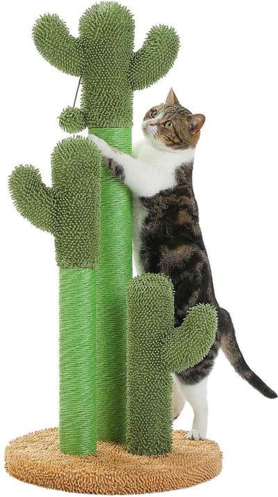 Casa Living Katten Krabpaal Cactus - 3 Sisal Krabstammen - Interactief Speelgoed - Uniek Cactus Design - Groen - 83CM Hoog