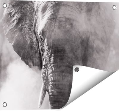 Gards Tuinposter Olifantenkop - Olifant - Zwart Wit - 50x40 cm - Tuindoek - Tuindecoratie - Wanddecoratie buiten - Tuinschilderij