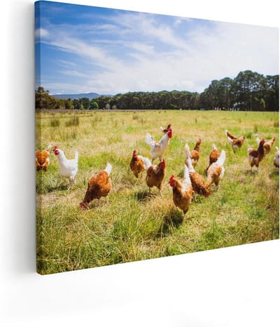 Artaza Canvas Schilderij Kippen Op Weiland - 50x40 cm - Wanddecoratie Natuur - Muurdecoratie Landschap - Kamer Accessoires