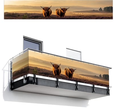 Balkonscherm 500x85 cm - Balkonposter Schotse hooglanders - Heide - Landschap - Dieren - Balkon scherm decoratie - Balkonschermen - Balkondoek zonnescherm