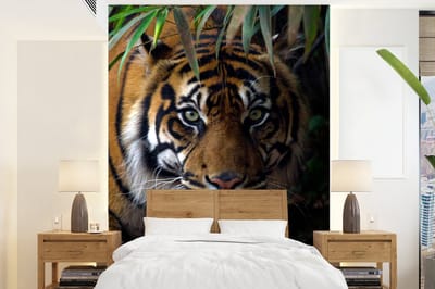 Behang - Fotobehang Tijger - Bladeren - Jungle - Dieren - Wild - Breedte 175 cm x hoogte 240 cm