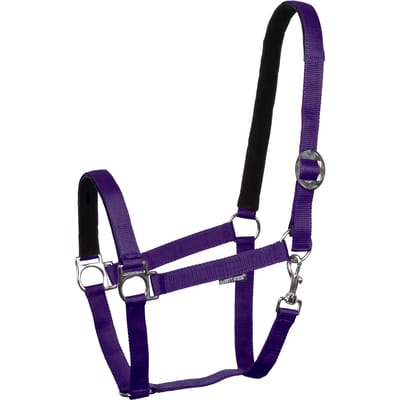 Nylon gevoerde halster voor paard Harry's Horse