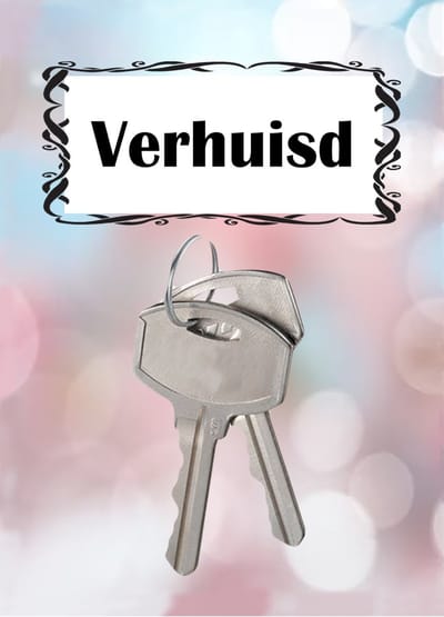 Adreswijziging - Verhuiskaarten - A6 - Kaartenset van 6 stuks - Briefkaarten