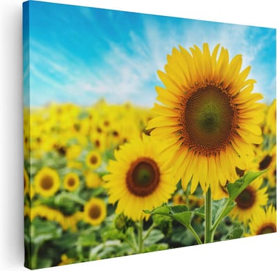 Artaza Canvas Schilderij Zonnebloemenveld - 40x30 cm - Klein - Muurdecoratie Bloemen - Wanddecoratie Woonkamer - Schilderijen Op Canvas