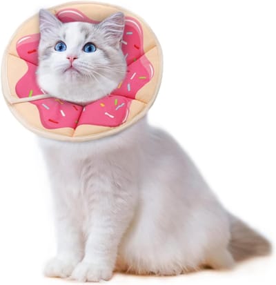 Kattenhalsband in Rood voor Grote Katten - Verstelbaar, Comfortabel en Duurzaam