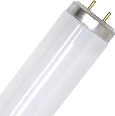 SPL G13 T12 TL-Buis | 40W 3500K 960lm 635 | 600mm