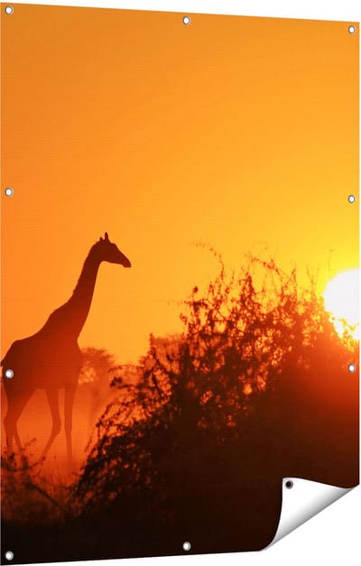 Gards Tuinposter Drie Giraffe Silhouetten bij Zonsondergang - 90x120 cm - Tuindoek - Tuindecoratie - Wanddecoratie buiten - Tuinschilderij
