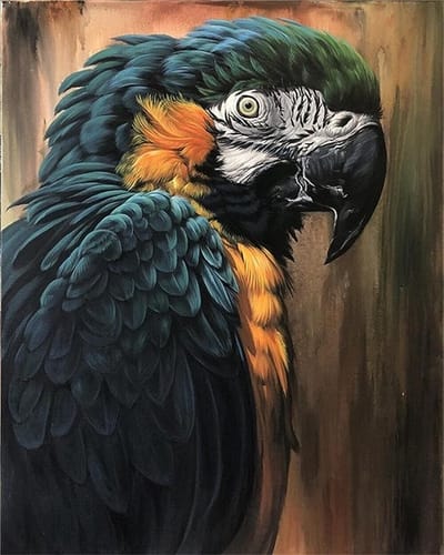 Diamond painting- Papegaai- 40X50CM- Diamond painting pakket - HQ - VOLLEDIG dekkend - Diamant Schilderen - voor Volwassenen – ROND- TOPMO