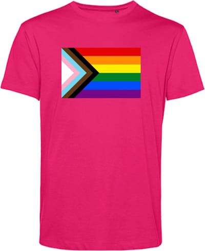 T-shirt LHBTIQ+ Vlag | Gay pride shirt kleding | Regenboog kleuren | LGBTQ | Roze | maat XS