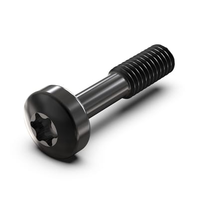 SCHROFF Kraagschroef, Torx M2,5 x 12,3 mm, staal zwart, 100 stuks