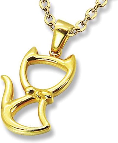 Amanto Ketting Elio G - 316L Staal - Poes - 22x15mm - 45cm
