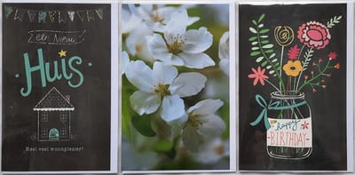 3 Wenskaarten - Nieuwe Woning-Een Nieuw Huis + Happy Birthday + Blanco Kaart met Bloemen - 12 x 17 cm – WON-306