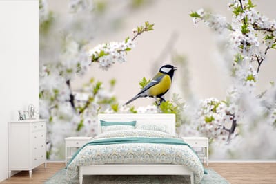 Behang - Fotobehang Vogel - Koolmees - Bloemen - Bloesemboom - Breedte 525 cm x hoogte 350 cm