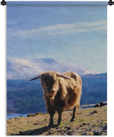 Wandkleed Schotse hooglander - Schotse hooglander met een bergachtig uitzicht Wandkleed katoen 120x160 cm - Wandtapijt met foto XXL / Groot formaat!