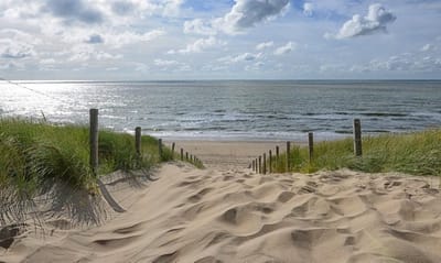 Fotobehang duinen en strand Strandopgang Noordzee 250 x 260 cm - € 175,--