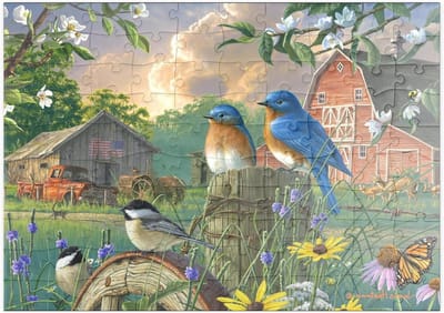 Legpuzzel Boerderij - Puzzel 100 stukjes - Ontspanning thuis - Hoge resolutie print - 48 x 34 cm - Multicolor