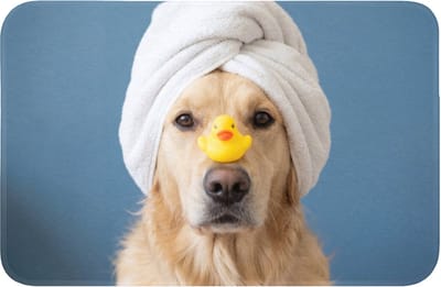 Badmat 60x40 cm - Antislip - Hond - Badeend - Geel - Badmatten voor badkamer - Badkamermat - Douchemat - Badkamer mat