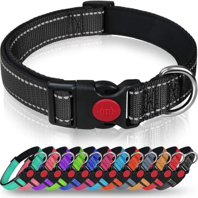 Hondenriem - Zacht Gepolsterd Neopreen Nylon Halsband voor Grote Honden - M Verstelbaar 35-50cm - Reflecterend voor Training - Zwart - 1 Stuk