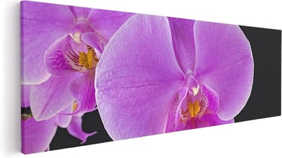 Artaza Canvas Schilderij Orchidee - 120x40 cm - Groot - Wanddecoratie Bloemen - Muurdecoratie Bloem - Schilderijen Op Canvas Roze