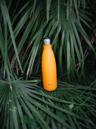 Qwetch Thermosfles - Originals Pop Oranje
