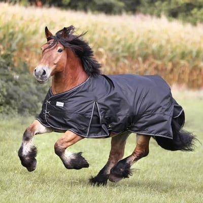 Fleecedeken voor paarden Kavalkade Draft Horse