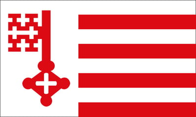 Vlag Soest 100x150cm