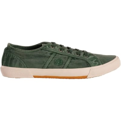 Trainers Rox R-Ups