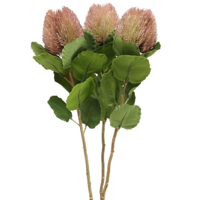 Kunstbanksia Proteaceae Wit-Paars L58cm H6cm 3st