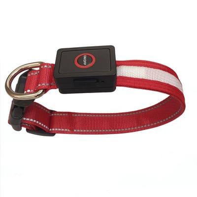LED-lichthalsband - Honden- en kattenhalsband - USB-oplaadbaar - Nachtlampje - 3 verschillende standen - Veilig - Waterdicht - Verstelbaar - Langdurig gebruik - Geweldig voor huisdieren - Nachtwandelingen - Buiten - Rood- Maat L