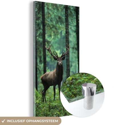 MuchoWow® Glasschilderij 20x40 cm - Schilderij acrylglas - Hert - Bomen - gewei - Foto op glas - Schilderijen