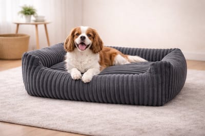 Hondenbed / Kattenbed - Gestepte Dierenmat 95x75cm, Comfortabel en Duurzaam Kussen voor Huisdieren, grafiet