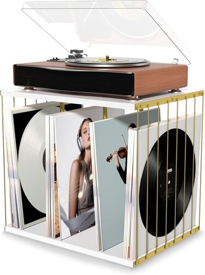 Vinyl Platenhouder van Hout met 3 Compartimenten, Vintage Stijl, Multifunctioneel en Mobiel voor Tot 100 Albums in Woonkamer, Kantoor of Studio