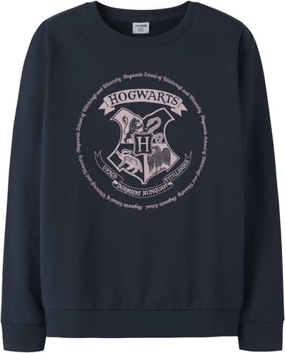 NAME IT - TKFTHOMEL HARRYPOTTER SWEAT BRU NOOS WAB - Meisjes - Sweaters