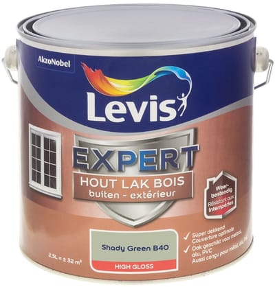 Levis - Expert Hout Lak Buiten High Gloss Mix - Shady Green B40 - Mengverf - 2,5 L