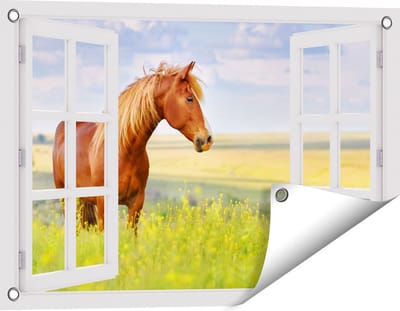 Gards Tuinposter Doorkijk Bruin Paard in de Wei - 60x40 cm - Tuindoek - Tuindecoratie - Wanddecoratie buiten - Tuinschilderij