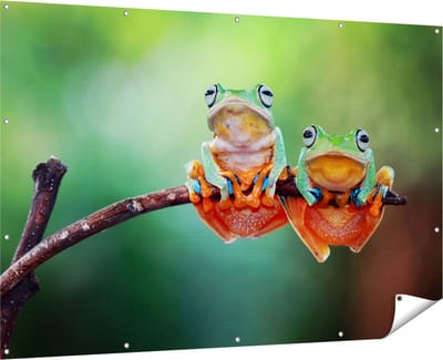 Gards Tuinposter Twee Boomkikkers op een Tak - 180x120 cm - Tuindoek - Tuindecoratie - Wanddecoratie buiten - Tuinschilderij