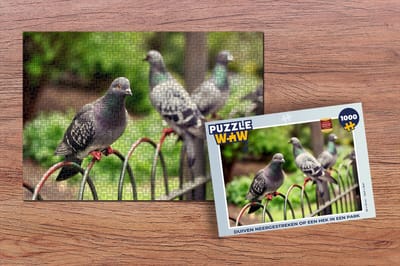 Puzzel Duiven neergestreken op een hek in een park - Legpuzzel - Puzzel 1000 stukjes volwassenen