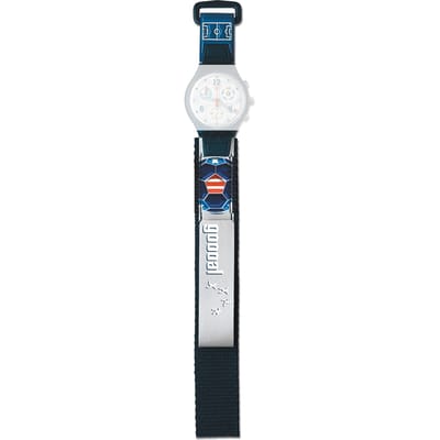 Swatch Plastic - Auto/Scuba/Chrono - SA/SC/SD/SE/SH/SO/ST ASCZ401US SCZ401US Goooal USA band