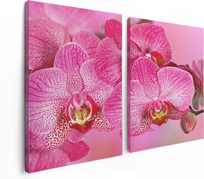 Artaza Canvas Schilderij Tweeluik Roze Orchidee Bloemen - 120x80 - Foto Op Canvas - Canvas Print
